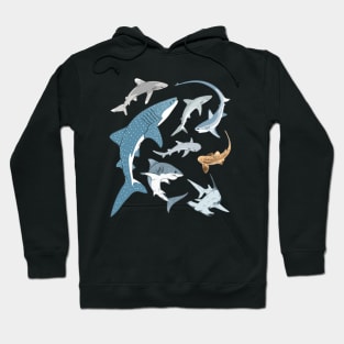 Types of Sharks Hoodie